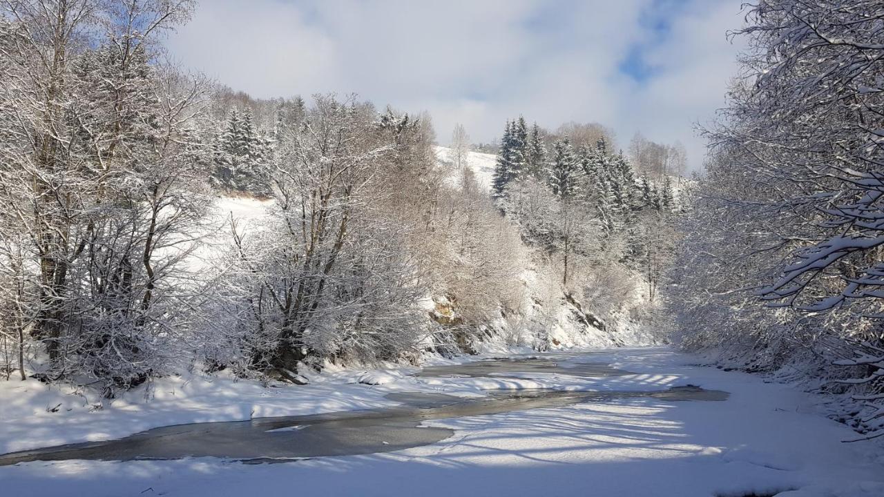 Gallery Of Mountains Holiday Home ยาซินยา ภายนอก รูปภาพ